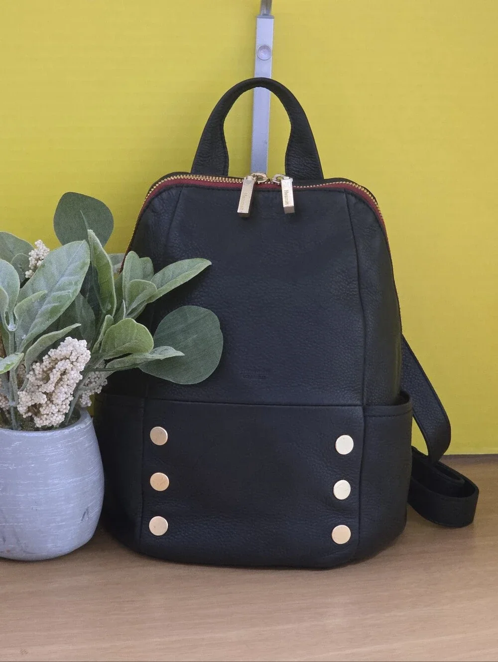 Hammitt Black Leather Medium Backpack with Gold Accents